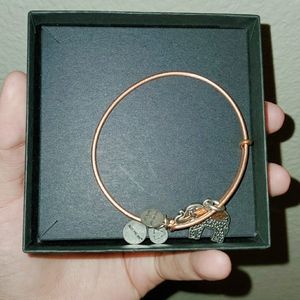 Alex and Ani bracelet